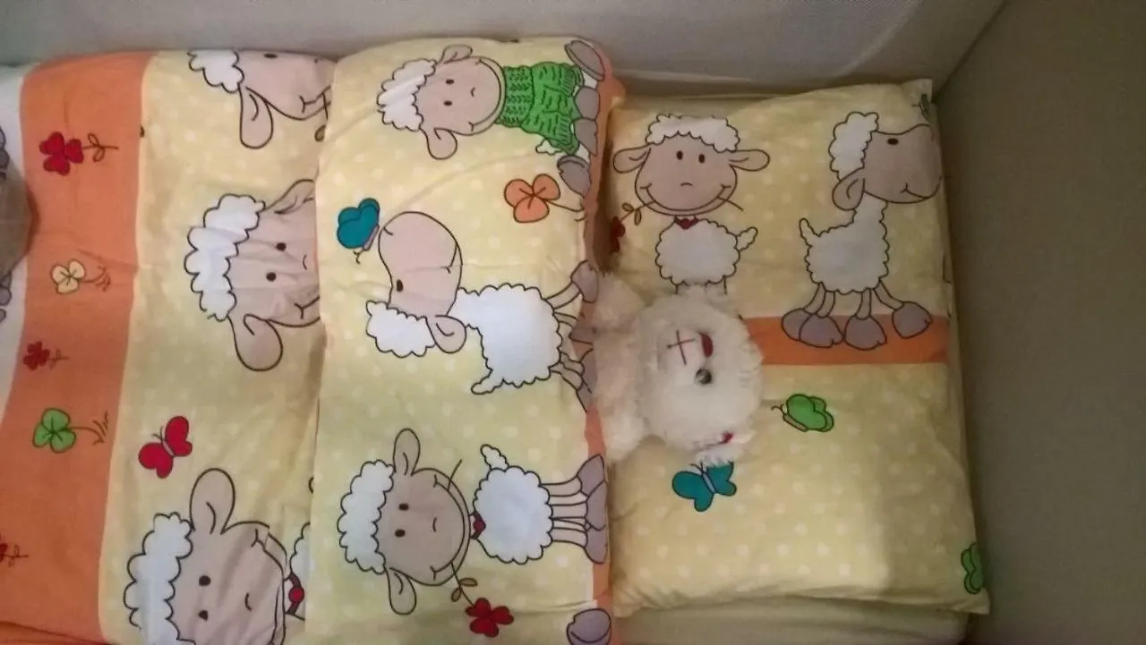 アパート リエカCasa Venezianaアパートメント クロアチア